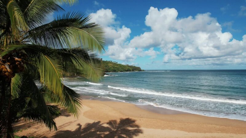 Sandy Kauai beach with calm turquoise water, palm fronds in the foreground, and lush green mountains rising under a partly cloudy blue sky